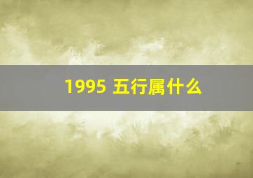 1995 五行属什么